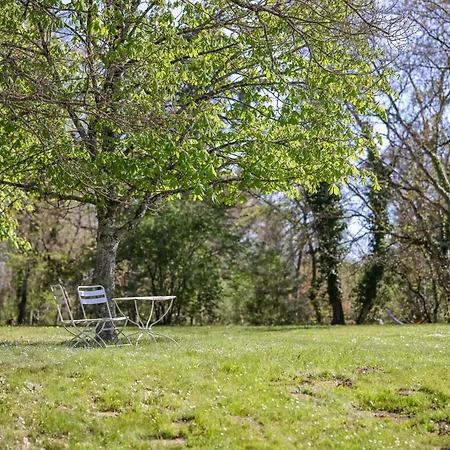 Chateau Soules - Piscine - - Calme Lavaur (Tarn)